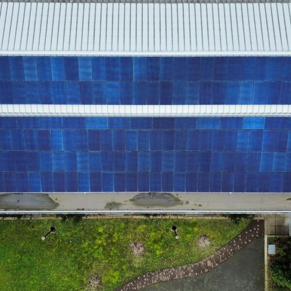 Forestry Solar View